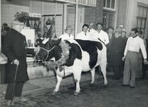 405214 Afbeelding van een met een krans getooide koe (paaskoe?) bij de slagerswinkel van C. de Vaal (Muntstraat8) te Utrecht.